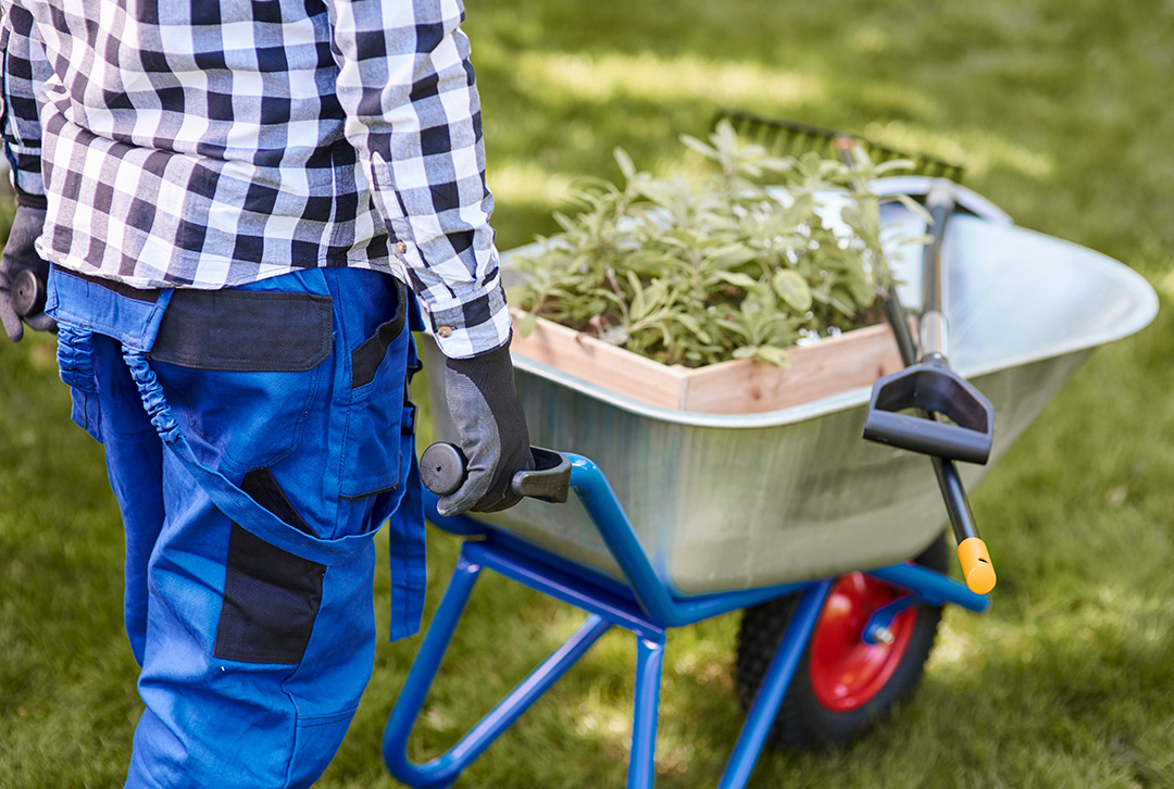 Gartenarbeiten Löwenhearz