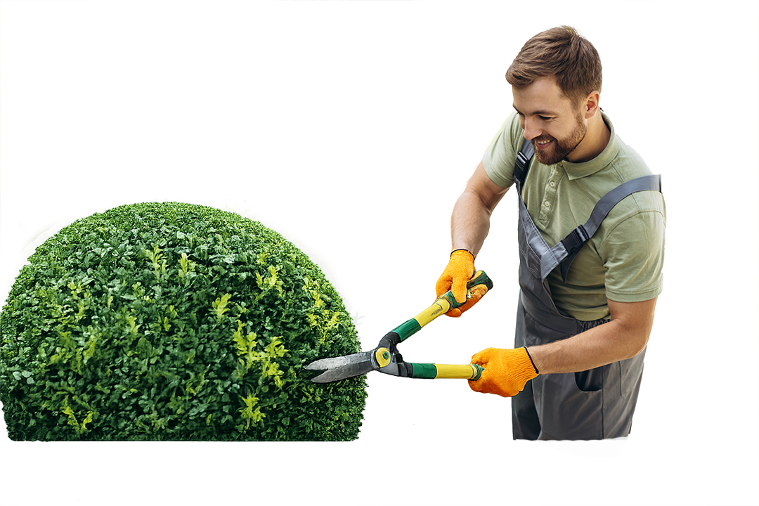 Gartenarbeiten Löwenhearz